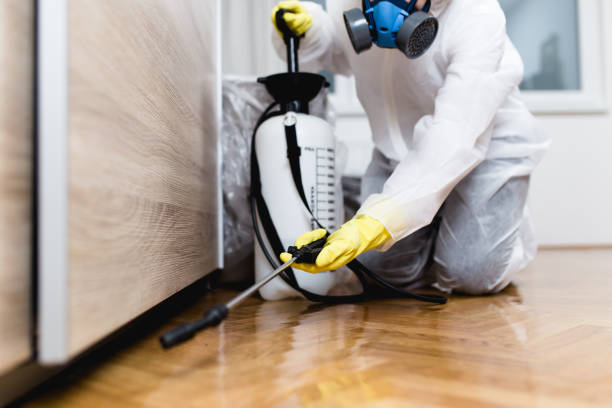 Best Wildlife Control Services  in Oronogo, MO