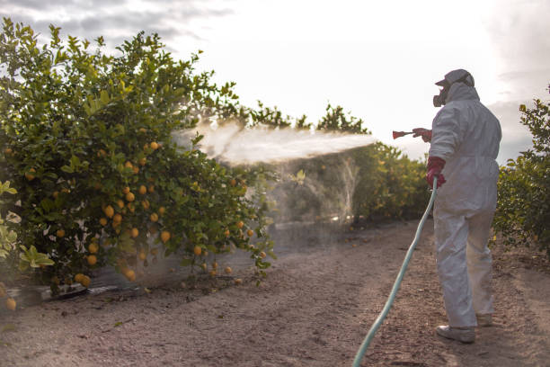 Best Mosquito Control Services  in Oronogo, MO