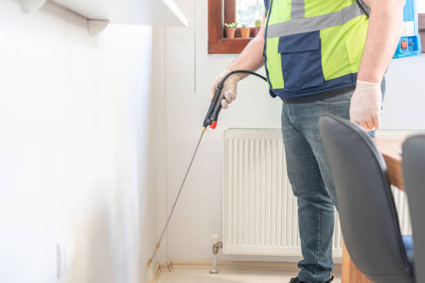 Flea Control Services in Oronogo, MO
